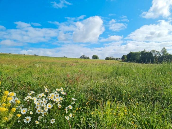Tenneville : terrain de 21a 06ca, belle situation au calme., Immo, Terrains & Terrains à bâtir, 1500 m² ou plus