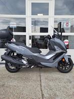Sym Cruisym Alpha 300, Motoren, Motoren | Overige merken, Scooter, 300 cc, SYM, Bedrijf