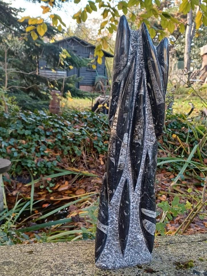 Groot sierlijk orthoceras fossiel - 8,4 kg, Verzamelen, Mineralen en Fossielen, Fossiel, Ophalen of Verzenden