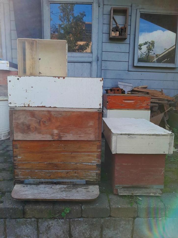 Gereserveerd - Bijenkast Simplex, Dieren en Toebehoren, Insecten en Spinnen, Bijen