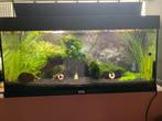 Juwel 180L Compleet + Eheim Filter, Dieren en Toebehoren, Ophalen, Zo goed als nieuw, Gevuld zoetwateraquarium