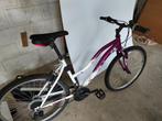 mountainbike voor dames in goede staat, Ophalen, Gebruikt, Dames