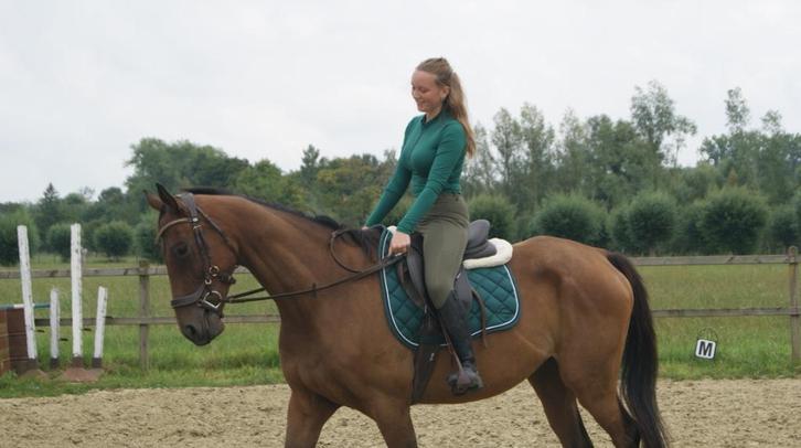Wandelpaard, therapiepaard of weidemaatje, Dieren en Toebehoren, Paarden, Ruin, Zadelmak, 160 tot 165 cm, 3 tot 6 jaar, Recreatiepaard