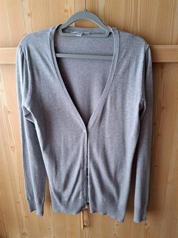 Vestje / gilet / cardigan lichtgrijs maat L beschikbaar voor biedingen