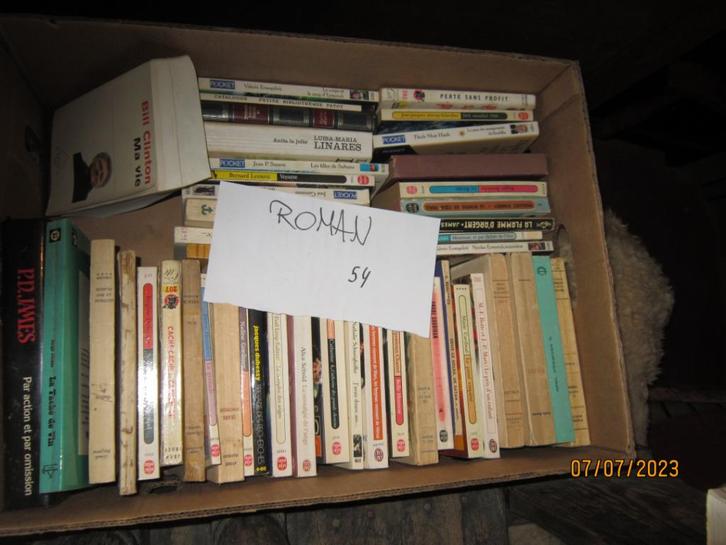 Livres +/- 45 romans caisse n 54 adam D, Livres, Romans, Utilisé, Enlèvement