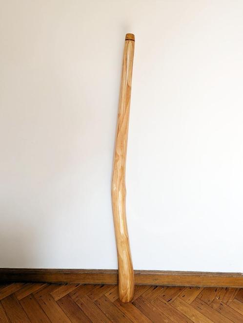 didgeridoo, Muziek en Instrumenten, Blaasinstrumenten | Didgeridoos, Zo goed als nieuw, Ophalen of Verzenden