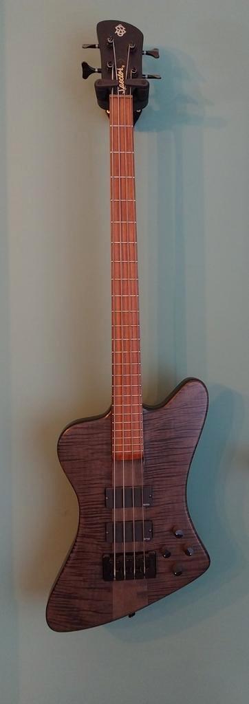 Spector Forte 4X, Muziek en Instrumenten, Snaarinstrumenten | Gitaren | Bas, Gebruikt, Ophalen