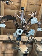 Gewei luster groot met glazen bloemen, Antiek en Kunst, Ophalen of Verzenden