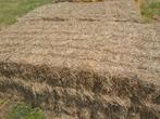 Grote balen weidehooi, Dieren en Toebehoren, Stalling en Weidegang