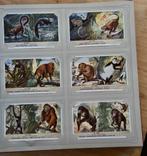 Liebig Chromo Set De Apen– Complete Set van 6 – Mooie Staat, Collections, Enlèvement ou Envoi, Comme neuf