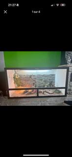 Terrarium, Animaux & Accessoires, Reptiles & Amphibiens | Accessoires