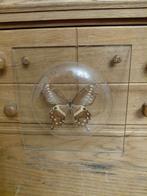 Taxidermie: vlinders, Verzamelen, Dierenverzamelingen, Ophalen