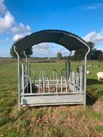 Hooiruif, Dieren en Toebehoren, Stalling en Weidegang