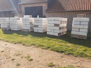 Kweek bakken, Enlèvement