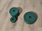 Salter Halterschijven 30 MM, Sport en Fitness, Fitnessmaterialen, Ophalen, Gebruikt, Benen, Halterschijven