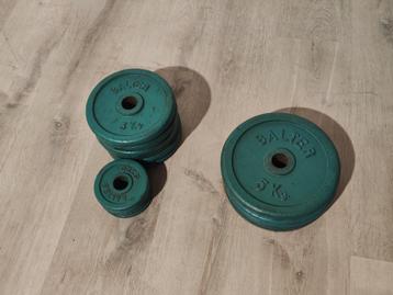 Salter Halterschijven 30 MM beschikbaar voor biedingen