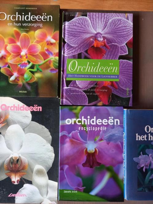 5 BOEKEN OVER ORCHIDEEËN, Livres, Nature, Comme neuf, Fleurs, Plantes et Arbres, Enlèvement ou Envoi