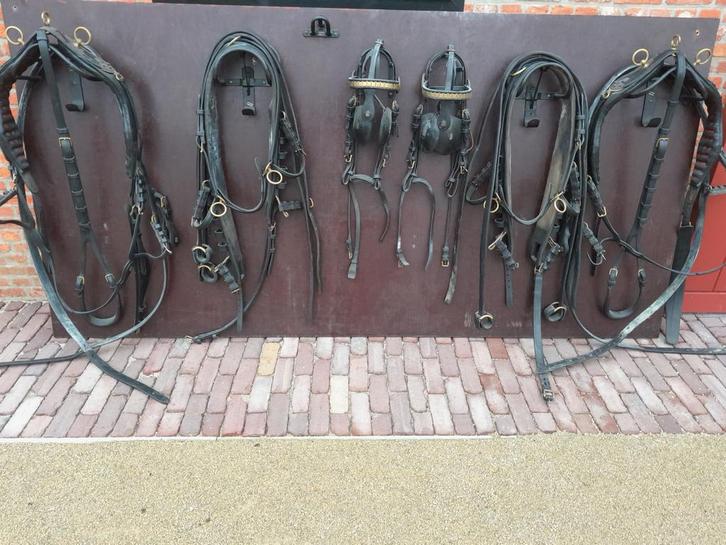 Van Rijs tuig voor mennen, Dieren en Toebehoren, Paarden en Pony's | Hoofdstellen en Tuigage, Gebruikt, Overige soorten, Ophalen