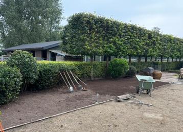 Tuinhulp gezocht RIJKEVORSEL disponible aux enchères