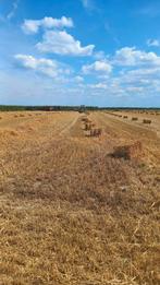 Hooi en stro kleine pakken, Dieren en Toebehoren, Ophalen