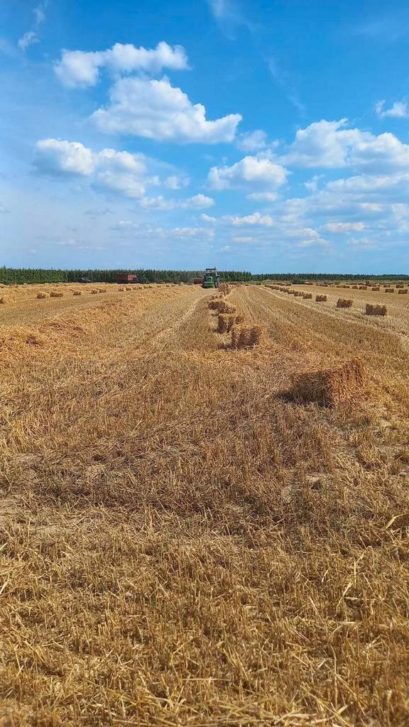 Hooi en stro kleine pakken, Animaux & Accessoires, Nourriture pour Animaux, Enlèvement