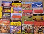 16 boeken van Geronimo Stilton, Ophalen, Zo goed als nieuw, Stilton, Fictie algemeen