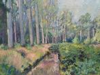 Schilderij M.VAN DEN BEMPT 30x40 "Beekje te Wijnegem", Antiek en Kunst, Kunst | Schilderijen | Klassiek, Ophalen of Verzenden