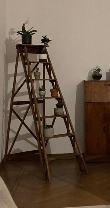 Échelle de peintre - Déco beschikbaar voor biedingen