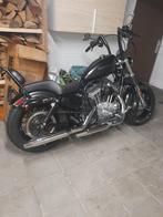 Harley davidson iron 883, Motoren, 2 cilinders, Chopper, Particulier, 1200 cc