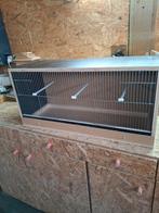 Nieuw vogelkooi, Enlèvement, Neuf, Bois, Cage à oiseaux