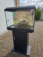 Mooie aquarim met meubel en verlichting!, Dieren en Toebehoren, Vissen | Aquaria en Toebehoren, Ophalen, Zo goed als nieuw, Verlichting of Verwarming