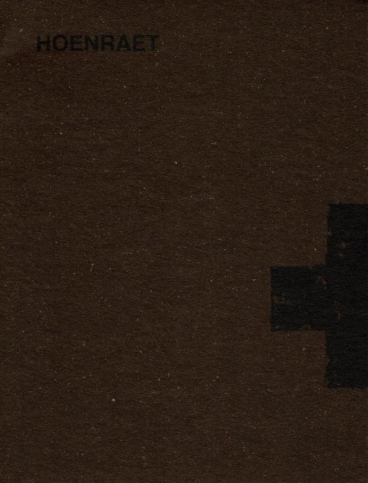 Luc Hoenraet : de transcendentie van de materie, Boeken, Kunst en Cultuur | Beeldend, Gelezen, Ophalen of Verzenden