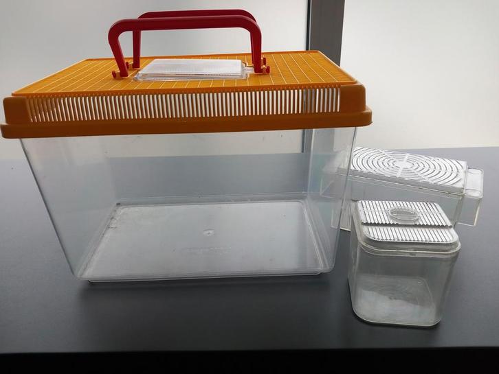 Kunststof aquarium van 27x17x17 cm en 2 nesten

Open naar bu, Dieren en Toebehoren, Vissen | Aquaria en Toebehoren, Gebruikt, Ophalen