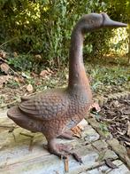 Gietijzeren eend, Dieren en Toebehoren, Pluimvee, Eend