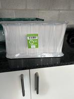 Plastic Cavaglazen, Ophalen of Verzenden