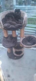 Kattenpaal, Dieren en Toebehoren, Ophalen