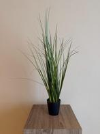 Kunstsierplant lang gras, Ophalen of Verzenden, Nieuw, Binnen