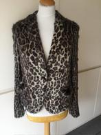 Marccain,Marc Cain jasje,vestje maat 5 (40), Maat 38/40 (M), Overige kleuren, Ophalen of Verzenden, Zo goed als nieuw