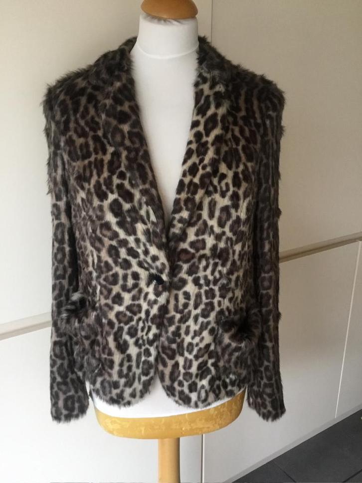 Marccain,Marc Cain jasje,vestje maat 5 (40), Kleding | Dames, Jasjes, Kostuums en Pakken, Zo goed als nieuw, Jasje, Maat 38/40 (M)