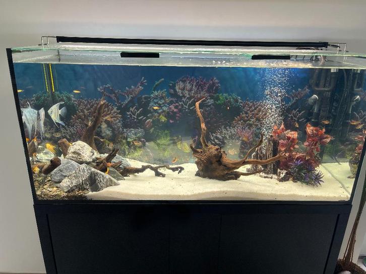 Aquarium Aquatlantis 264L complet avec meuble, Animaux & Accessoires, Poissons | Aquariums & Accessoires, Comme neuf, Aquarium d'eau douce rempli