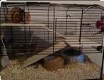 Cage hamster -Gerbille en verre 30€, Kooi, Hamster, Gebruikt, Ophalen