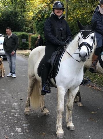 Paarden scheren