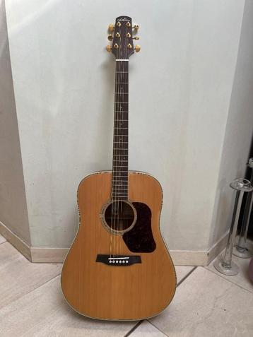 Akoestische gitaar Walden D670 zeer goede staat! disponible aux enchères