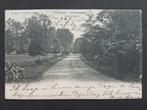 Postkaart Brasschaat Brasschaet Le Voshol Les Orangers 1905, Ophalen of Verzenden, Voor 1920, Gelopen, Antwerpen
