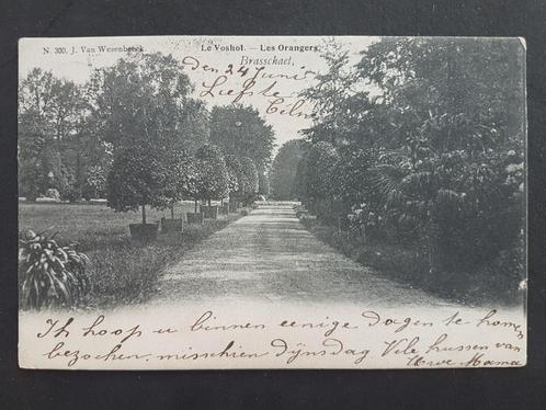 Postkaart Brasschaat Brasschaet Le Voshol Les Orangers 1905, Verzamelen, Postkaarten | België, Gelopen, Antwerpen, Voor 1920, Ophalen of Verzenden