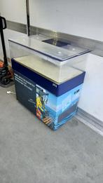 Kreeften aquarium, Dieren en Toebehoren, Ophalen of Verzenden, Gebruikt