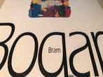Bram Bogart Peintures 180pag, Boeken, Ophalen of Verzenden, Zo goed als nieuw, Schilder- en Tekenkunst