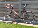 Batavus D-light Koersfiets, Ophalen, Gebruikt, Batavus