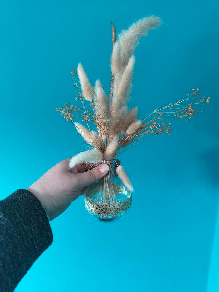 Trouw decoratie, Divers, Divers Autre, Neuf, Enlèvement