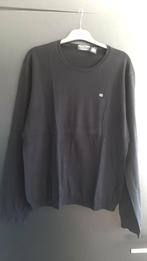 Truien/hemden (M,L)(Ralf Lauren,Hilfiger,CalvinKlein,Gstar), Ophalen of Verzenden, Zo goed als nieuw, Overige maten